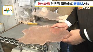 散った桜の花びらをごみにしない！プラスチックに混ぜて新素材『桜チック』開発　アクセサリーや食器に加工し販売予定