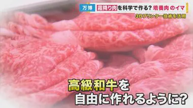 霜降り肉を科学で作る　3Dプリンターで培養肉を”出力”　課題は価格「1センチ四方が10万円」