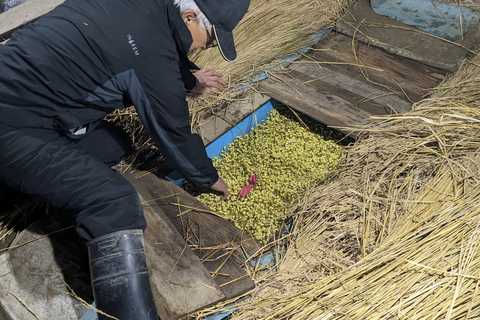 伝統農法の豆もやしが美肌効果高い保湿化粧品に　小野小町ゆかりの温泉地で観光の目玉にも