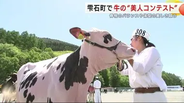 牛の“美人コンテスト”　骨格のバランスや体型の美しさ競う＜岩手・雫石町＞