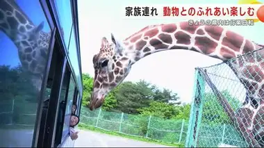 動物とのふれあい楽しむ　岩手サファリパークに多くの家族連れ　約５０種類の動物を間近で＜岩手・一関市＞