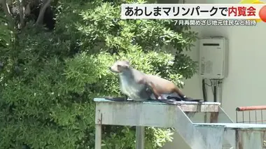 あわしまマリンパーク 7月再開めざし内覧会　飼育員が45人から11人に激減…地元住民に現状説明　静岡