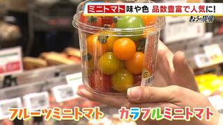 【ミニトマト】おいしいモノを見分けるポイントは？「おやつ代わりに」「使いやすい」味も色も種類豊富で人気高まる！