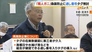 産地偽装「間人ガニ」信頼回復どうする…『通し番号入りタグ』の導入も検討　タグ管理に第三者介入なども