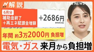 「心が折れそうになる」電気・ガス補助金終了で飲食店から悲鳴　標準的な家庭でも年2.2万円負担増との試算も【Nスタ解説】