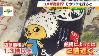 コメが高騰！？銘柄によっては店頭価格が２倍近くに　去年『猛暑』の影響受けた農家「今年は早く植えてみようと」