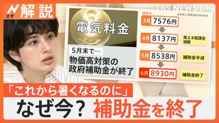 電気料金 6月また値上げ…物価高なのに補助金終了、標準家庭で392円値上がり 過去最高水準に迫る【Nスタ解説】