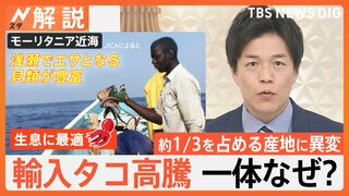 産地や食文化に異変？輸入タコが高騰　欧米でも需要増加で「日本は“買い負け”している」【Nスタ解説】