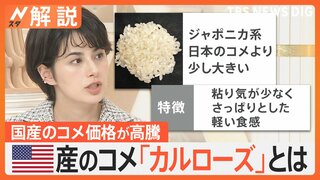 アメリカ産の米「カルローズ」日本産との違いは？国産米の価格高騰で「低価格帯のコメは品薄」【Nスタ解説】
