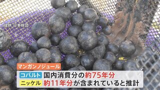 南鳥島沖にレアメタル豊富な鉱物が大量に…EEZ内　2026年以降に商用化検討