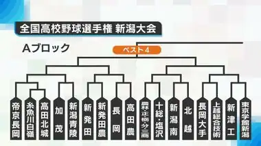 【夏の高校野球】新潟大会の組み合わせ決定！新潟野球ドットコムに聞いた今年の注目校「帝京・文理が本命」