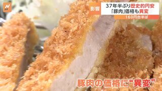 円安で“豚肉高騰” 日本の実質実効為替レートは過去最低　37年半ぶり歴史的円安“円の実力”落ち“買い負け”