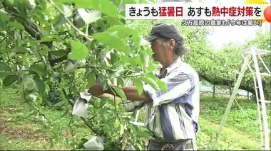 「時々クラっと」”避暑地”久万高原町でも農家「暑い」愛媛５地点で猛暑日　１０日から再び梅雨空【愛媛】