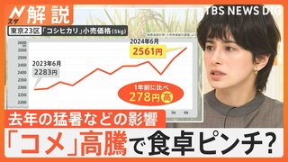 「このままだと再値上げ」おにぎり360円→430円に　猛暑影響“1等”のお米が高騰　2等米は“早炊き”でおいしく【Nスタ解説】