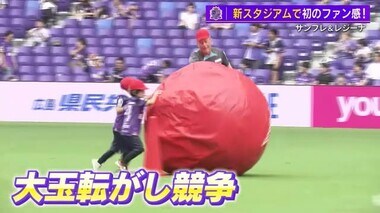 サンフレッチェ広島　Ｅピースで初のファン感謝デー　“大玉転がし”にサプライズでスキッベ監督登場！　