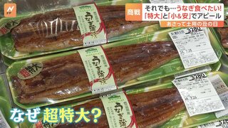 「土用の丑の日」物価高でも…あの手この手の“うなぎ商戦”　大手スーパーの目玉は「超特大」