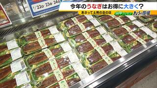 【土用の丑の日】「うなぎ商戦」イオンリテールでは過去最大１０万尾を用意　うなぎの卸売り平均価格は去年より２００円以上高く