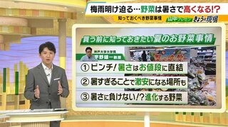 【温暖化であえぐ野菜】形も崩れ、光合成の気孔自らふさぎ、産地リレーもままならず　いっぽう暑いほど安く買えるのが「道の駅⁉」