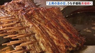 うなぎ高値続く「国産うなぎのかば焼きは100g1468円」土用の丑の日