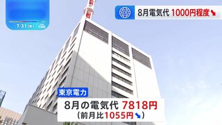 8月使用分の電気代　1000円程度↓　政府補助金の再開で