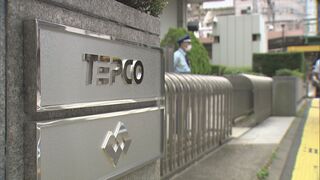 【速報】東電管内で約1万1430軒の停電　栃木県・埼玉県・群馬県