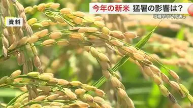 今年の新米 猛暑の影響は？ 収穫早まる見通し 新米検査は全て「一等米」〈宮城〉