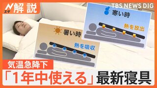 寒っ！東京で11月中旬並み…ジグザグ天気に便利な最新寝具　猛暑の年の紅葉、見ごろは？【Nスタ解説】