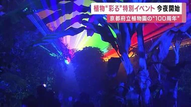 「京都府立植物園」で夜のライトアップイベント　多様な植物を光と音で演出　開園100周年を記念