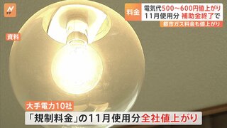 11月の電気代が500円～650円程度値上がりへ　政府の「酷暑対策」補助金終了で