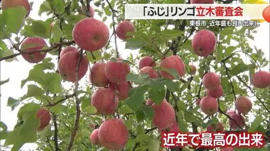 【山形】主力品種「ふじ」近年の中でも最も良い出来　実が大きく色づきも良い　東根市