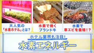 「水素調理」に「水素栽培」…旅館やホテルが続々“水素”を導入するワケとは？【THE TIME,】