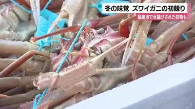 輪島港で水揚げされた初物も競りに…冬の味覚の“ズワイガニ”が初競り