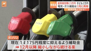 ガソリン補助金“延長”めぐり議論難航か　政府の経済対策案「今年12月以降縮小しながら続ける」に国民民主党・玉木代表「代替措置のない縮小は受け入れられない」