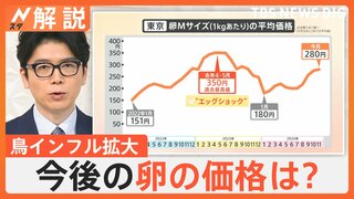 「いまの価格帯は正直言って異常」卵の高騰“エッグショック”懸念、鳥インフル拡大 過去最悪の年に匹敵【Nスタ解説】