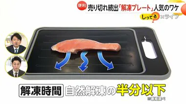 【しってる？】全国の店舗で売り切れ続出「解凍プレート」ひき肉140gは自然解凍95分が35分に…“時短”や“光熱費節約”に大活躍