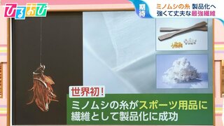 世界初「ミノムシの糸」の製品化に成功！スポーツシューズやスキー板…世の中を変える新素材に【ひるおび】