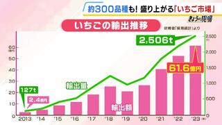 1粒1000円のいちごも！日本だけで“約300品種”盛り上がる『いちご市場』　「食べ比べると違いが分かる」2、3種類の詰め合わせが人気