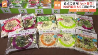 カット野菜「100円の壁」維持に限界　キャベツ高騰の影響のほかにエネルギーコストや人件費が上昇